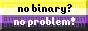 No binary? No problem! Non-binary flag with caption 'No binary? No problem!'